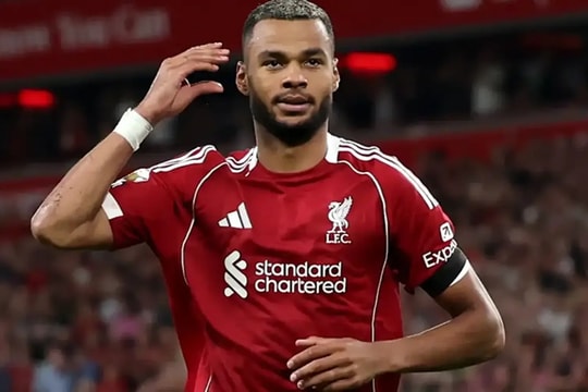 Liverpool từ chối Tottenham: Cody Gakpo là 'bất khả xâm phạm' sau World Cup 2026
