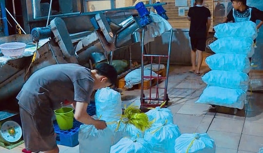 Đá viên giải nhiệt mùa hè: Sạch đến đâu?