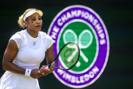 Serena Williams tái xuất Wimbledon 2026: Novak Djokovic và sự khâm phục cho một huyền thoại