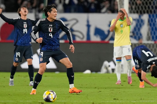 Nhật Bản tái đấu Brazil tại World Cup 2026: Cuộc lột xác vĩ đại sau 20 năm chờ đợi