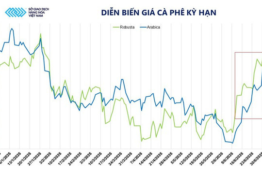 Giá cà phê Arabica tăng vọt 6,7% lên mức 6.535 USD/tấn do mưa lớn tại Brazil