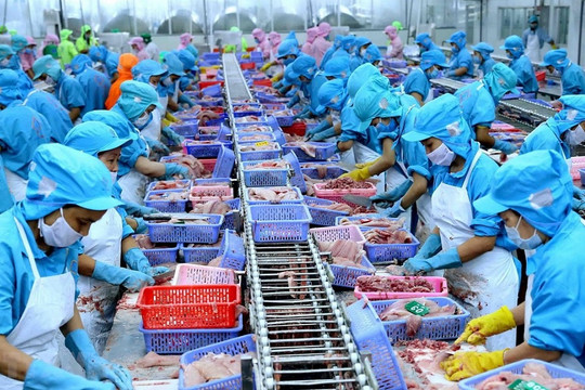Xuất khẩu nông lâm thủy sản đạt 35,88 tỷ USD sau 6 tháng, rau quả tăng trưởng 17,7%