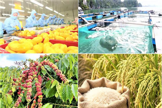 Xuất khẩu nông lâm thủy sản đạt 35,88 tỷ USD, thặng dư thương mại 9,2 tỷ USD