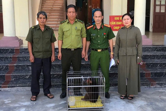 Người dân Hải Phòng giao nộp nhiều cá thể động vật quý hiếm
