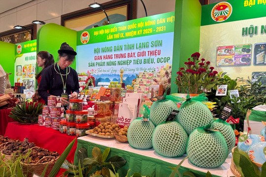Xuất khẩu nông sản đạt 35,88 tỷ USD, Việt Nam cải cách mạnh chi phí thể chế