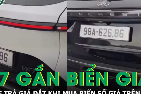 Mua biển số giả trên mạng, chủ xe trả giá đắt