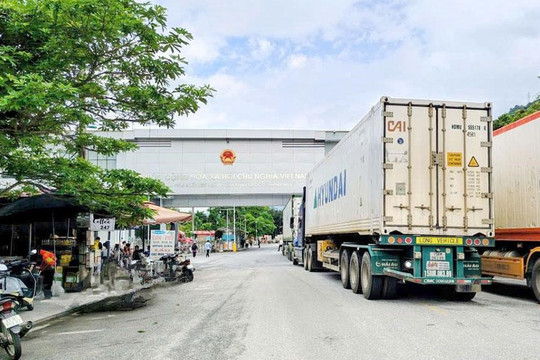 Kim ngạch xuất nhập khẩu Tuyên Quang đạt 516,7 triệu USD trong 6 tháng đầu năm 2026