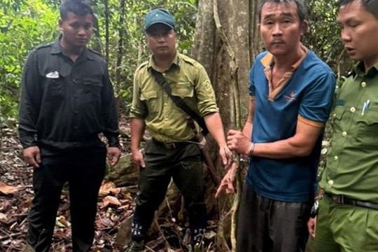 Bắt giam đối tượng săn bắt tê tê tại khu bảo tồn thiên nhiên
