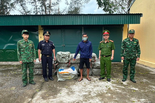 Phát hiện, tạm giữ 800kg nầm lợn đông lạnh không rõ nguồn gốc