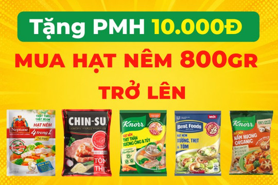 Cách nhận phiếu mua hàng 10.000 đồng mua hạt nêm gói lớn tại Bách hóa XANH