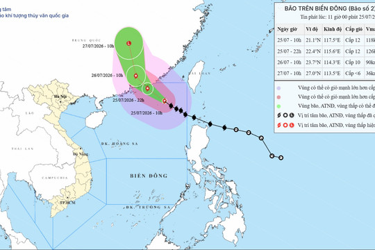 Dự báo diễn biến bão số 2 trên Biển Đông ngày 25/07/2026: Cảnh báo gió giật cấp 15