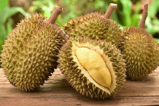 Giá sầu riêng ngày 26/7: Sầu Thái tại Đắk Lắk đạt mốc 81.000 đồng/kg