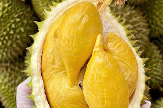Giá sầu riêng ngày 28/7: Sầu Thái tại Đắk Lắk tăng lên 80.000 đồng/kg