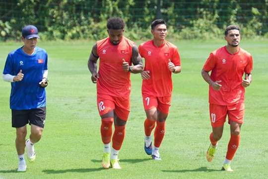Bóng đá Việt Nam 29/7: Nam Định đón Van-Alessandro, Singapore sẵn sàng đấu Việt Nam