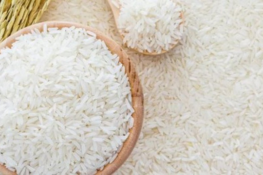 Giá gạo xuất khẩu tăng 8 USD/tấn, giá heo hơi giảm còn 61.000 - 65.000 đồng/kg