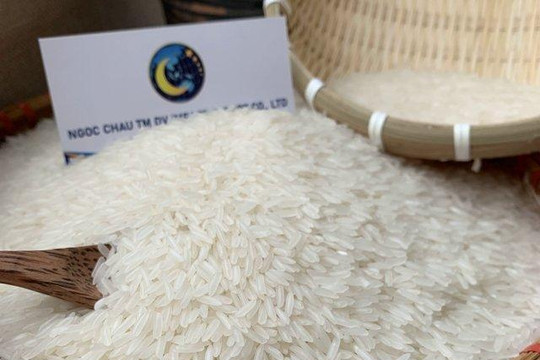 Giá gạo nguyên liệu ngày 30/7 tăng đến 200 đồng/kg tại Đồng bằng sông Cửu Long
