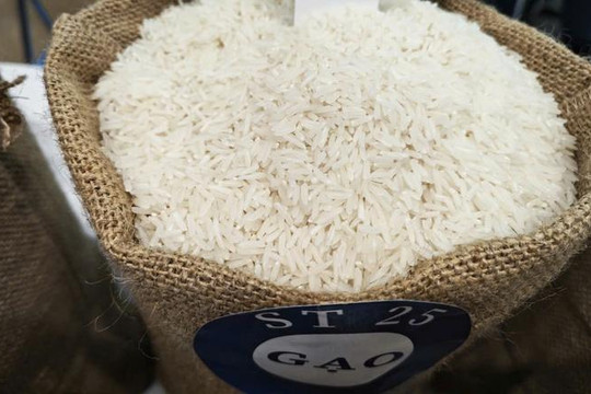 Thị trường lúa gạo ngày 3/8: Xuất khẩu vượt 5,3 triệu tấn, giá trong nước đi ngang