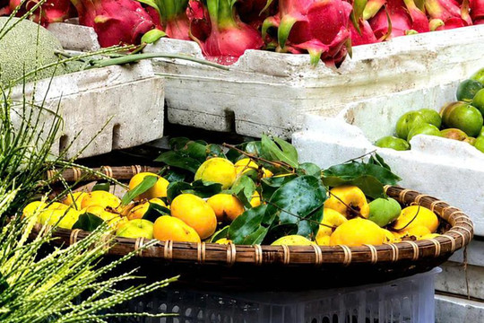 Từ một loại quả dân đã ít được chú ý, thị bất ngờ 'lên ngôi' trở thành xu hướng