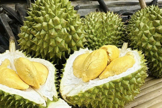 Giá sầu riêng ngày 6/8: Thị trường đi ngang, sầu Thái đẹp chạm mức 85.000 đồng/kg