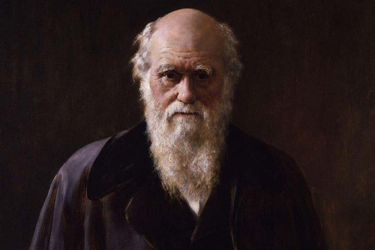 Một dự đoán của Charles Darwin vừa được khoa học xác minh sau hơn 150 năm
