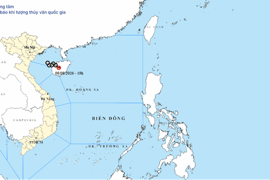 Tin cuối cùng về áp thấp nhiệt đới trên đảo Hải Nam ngày 08/08/2026: Biển Đông còn gió mạnh