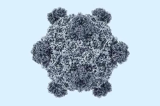 Mỹ tạo 16 loại virus chưa từng có ngoài tự nhiên bằng AI