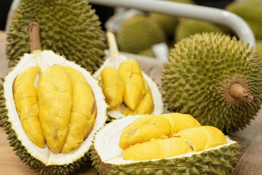 Giá sầu riêng ngày 9/8: Sầu Thái loại A tại Đắk Lắk và Gia Lai giảm 6.000 - 8.000 đồng/kg