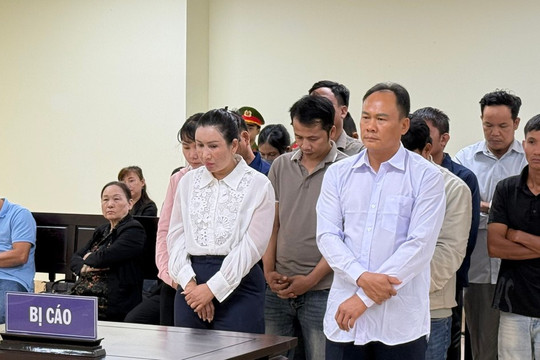 Hai tổng giám đốc lĩnh án vì sản xuất, buôn bán phân bón giả
