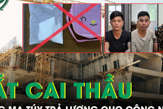 Bắt giữ cai thầu dùng ma túy để trả lương cho công nhân