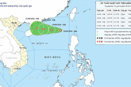Áp thấp nhiệt đới xuất hiện trên Biển Đông ngày 18/8/2026: Cảnh báo gió mạnh và sóng lớn
