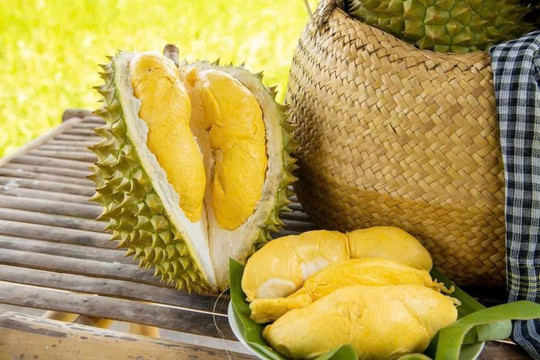 Giá sầu riêng hôm nay ngày 23/8: Sầu Thái đẹp giữ mức 85.000 đồng/kg, thị trường ổn định