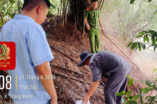 Phát hiện trang trại nuôi lợn xả nước thải ra suối