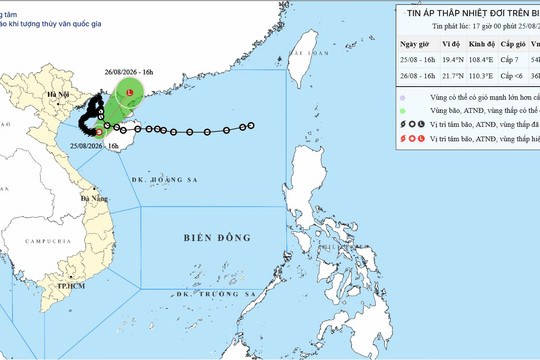 Cảnh báo áp thấp nhiệt đới trên khu vực vịnh Bắc Bộ ngày 26/08/2026: Gió mạnh giật cấp 9