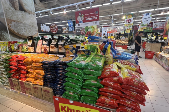 Giá lúa gạo ngày 28/8: Gạo nguyên liệu IR 504 và CL 555 giảm 150 đồng/kg về mức 9.100 đồng