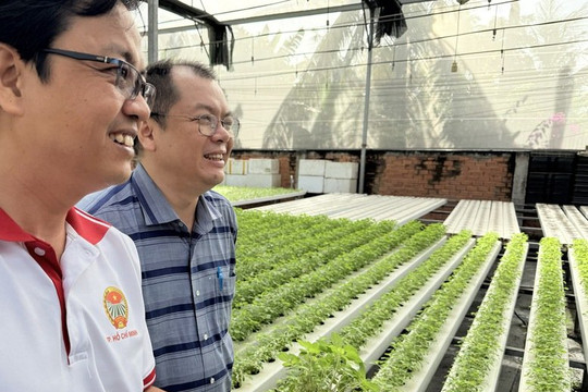 TP.HCM đặt mục tiêu giá trị sản xuất rau an toàn đạt 800 triệu đến 1 tỷ đồng mỗi ha/năm