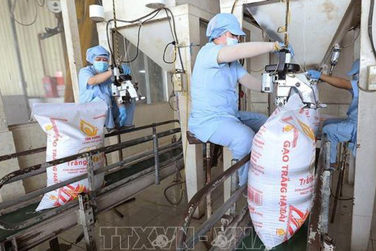 Xuất khẩu gạo đạt 2,91 tỷ USD, giá bắt đầu phục hồi