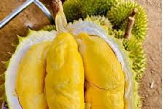 Giá sầu riêng ngày 2/9: Sầu Thái đẹp neo mốc 85.000 đồng/kg, Ri6 chạm mức 35.000 đồng/kg