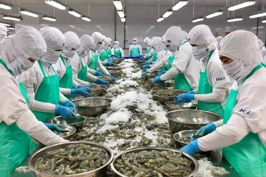 Xuất khẩu thủy sản 8 tháng đạt 8 tỷ USD khi dòng hàng chuyển hướng sang thị trường châu Á