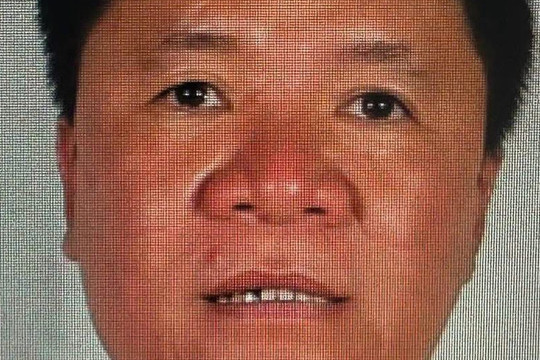 Đề nghị truy tố vắng mặt ông chủ Công ty cây xanh Công Minh