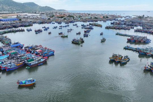 Khơi thông Cảng cá Cà Ná, nâng năng lực hạ tầng nghề cá phía Nam Khánh Hòa
