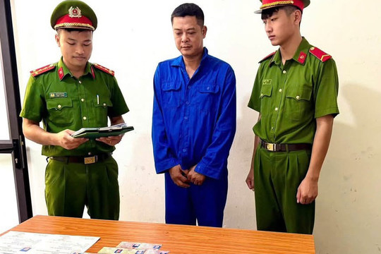 Mua bằng lái xe giả đi làm tài xế