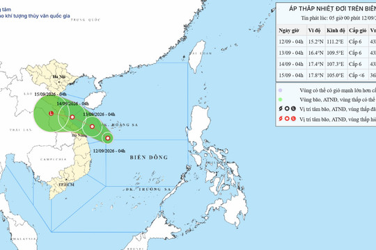 Áp thấp nhiệt đới trên Biển Đông ngày 12/09/2026: Vùng biển Hà Tĩnh đến Quảng Ngãi gió giật cấp 8