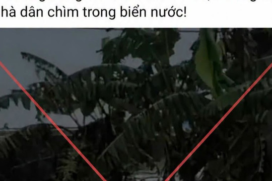 Tin giả trong mùa mưa lũ đặc biệt nguy hiểm, có thể gây chết người