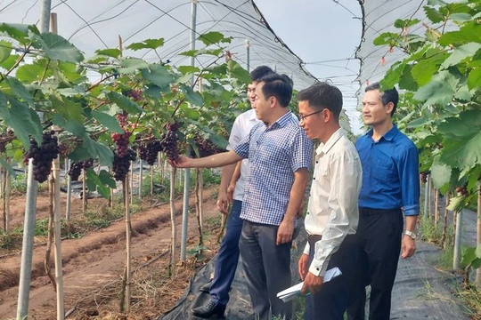 Hà Nội cấp mã QR truy xuất nguồn gốc cho 12.400 nông sản an toàn trên toàn hệ sinh thái số