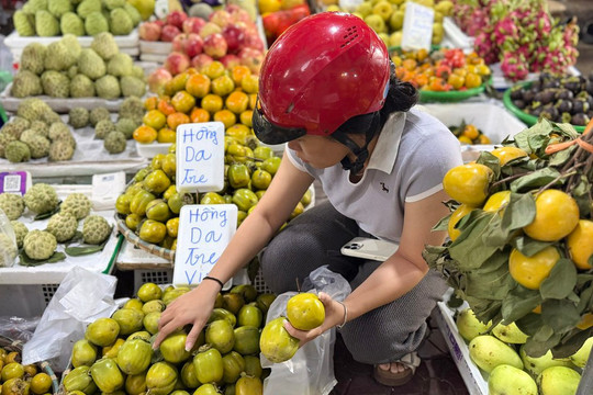 Hồng da tre có gì đặc biệt mà giá gần 200.000 đồng/kg vẫn được chị em thi nhau ‘săn đón’?