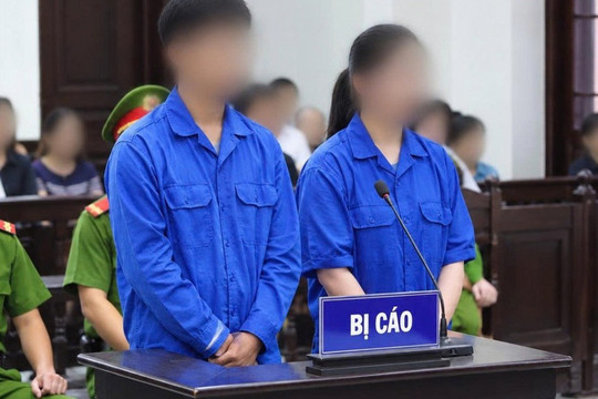 Dùng hóa chất sản xuất giá đỗ, hai chủ cơ sở lĩnh án tù