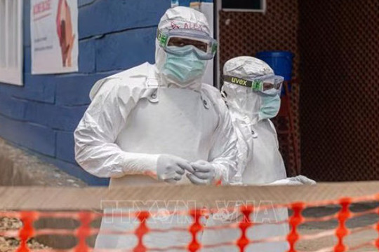 WHO nâng mức độ sẵn sàng ứng phó dịch bệnh Ebola tại 22 quốc gia trên ba châu lục
