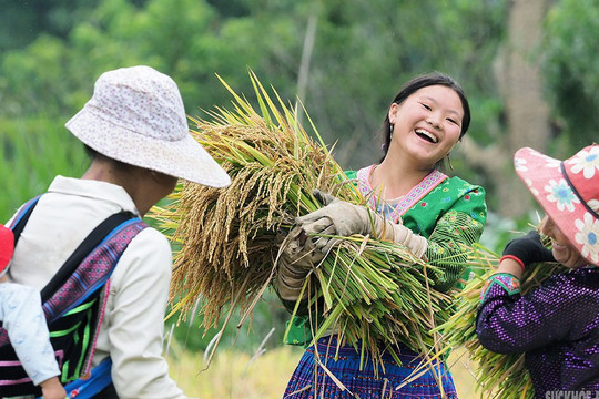 Vẻ đẹp bình dị của người phụ nữ Việt Nam từ phố thị đến vùng cao