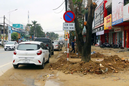 Truy tố ông chủ Công ty Cây xanh Công Minh hưởng lợi hơn 264 tỉ đồng