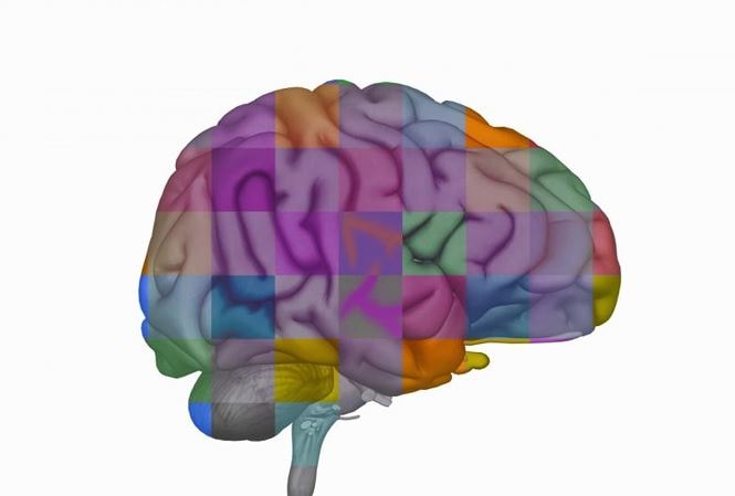 Đột phá y học: Phát hiện thuốc diệt u não ác tính